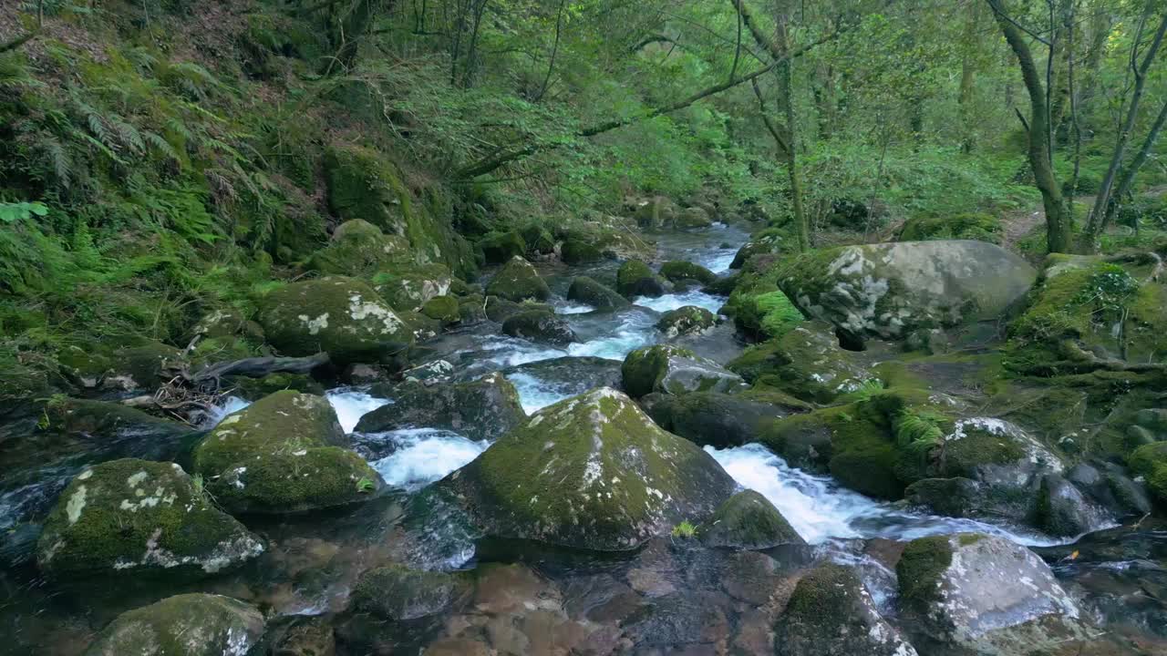 在西班牙加利西亚马萨里科斯附近的圣莱奥卡迪亚瀑布，一条流过岩石的小溪视频下载