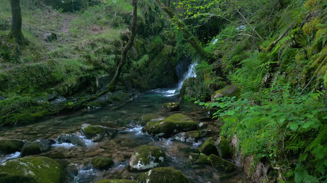 在西班牙圣莱奥卡迪亚的热带丛林中，看到布满苔藓的岩石、瀑布和河流视频下载