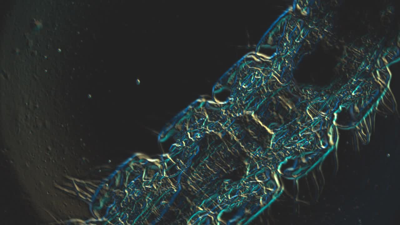 摘要科学动画的生物在显微镜下与玻璃纹理在黑色背景视频下载