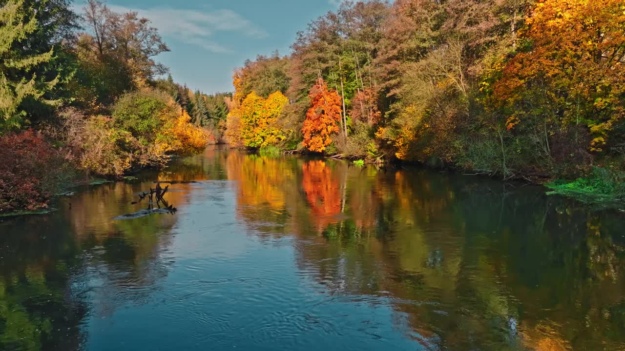 波兰日出时的秋色森林和布罗达河。视频下载