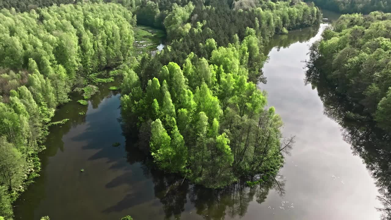 春天蜿蜒的小河和森林。视频下载