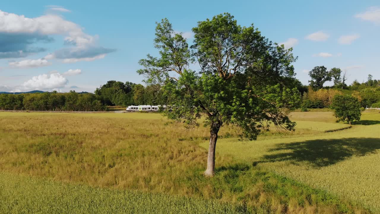 天线。风景优美的乡村火车之旅穿过郁郁葱葱的绿色田野。视频下载