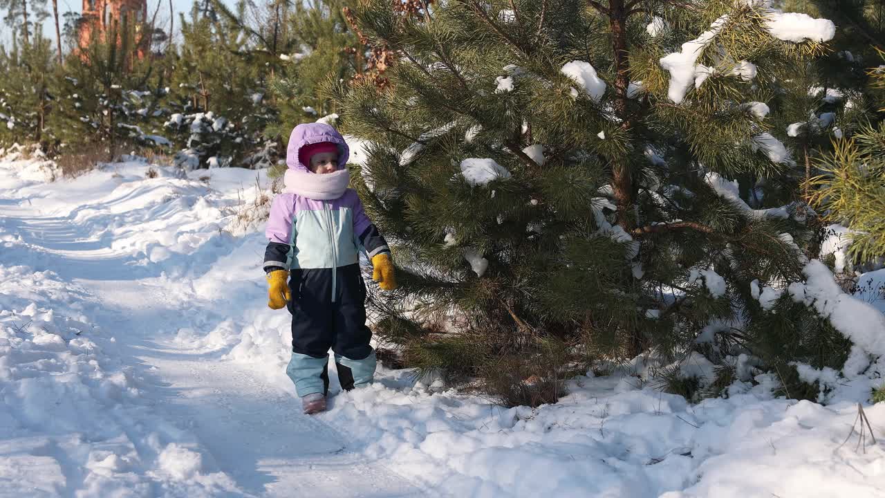 小女孩在初生的冬林里玩松枝。视频下载