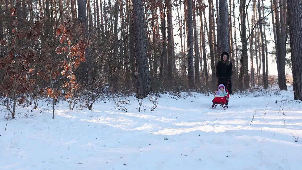 冬天，妈妈带着孩子在森林里散步。视频下载