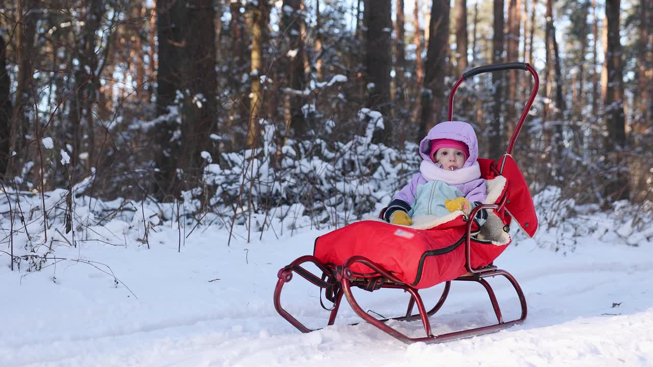 冬天，这个孩子坐在森林里的雪橇上。视频下载