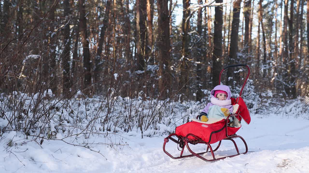冬天，这个孩子坐在森林里的雪橇上。视频下载