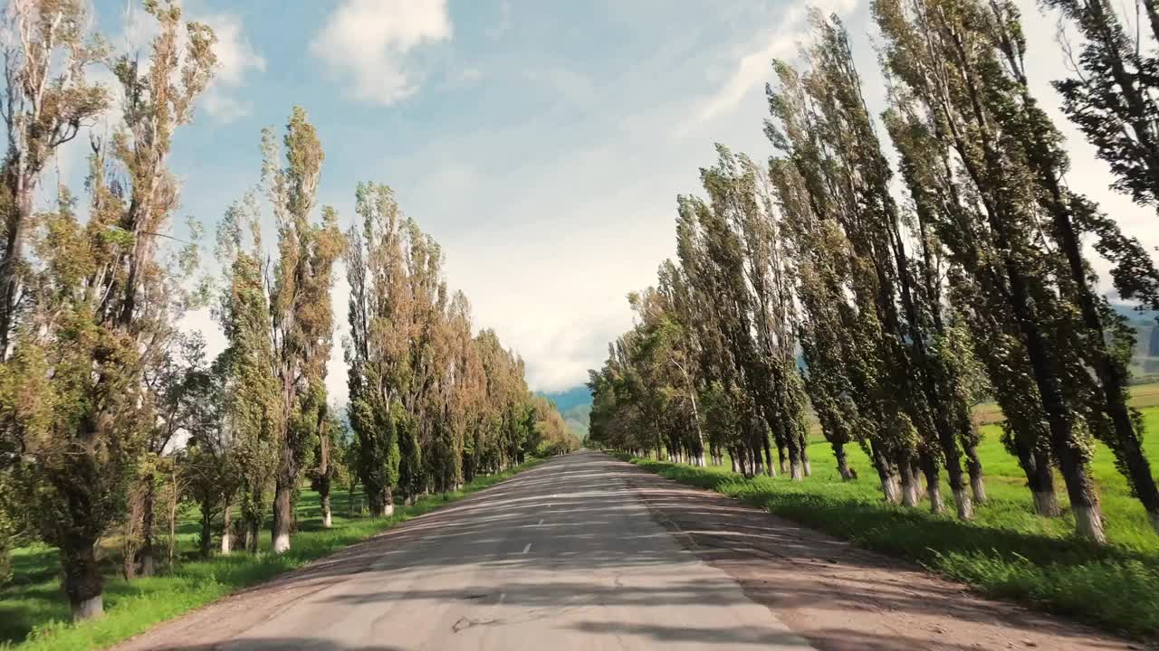 在条件恶劣的乡间道路上行驶，两旁是高大的杨树视频下载
