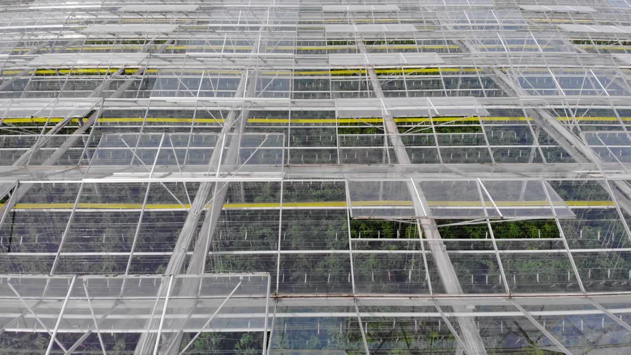 大温室蔬菜鸟瞰图，温室透明玻璃屋顶。现代高科技温室俯瞰。鸟瞰大型工业技术温室。视频下载