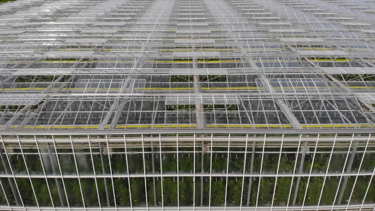 大温室蔬菜鸟瞰图，温室透明玻璃屋顶。现代高科技温室俯瞰。鸟瞰大型工业技术温室。视频下载