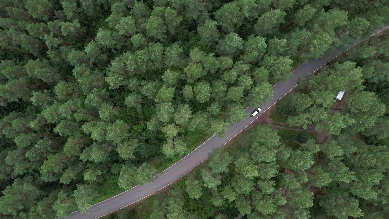 鸟瞰图夏日，白色轿车行驶在柏油路上，穿过广阔的森林。汽车在松林道路上行驶的航拍照片。穿越森林的公路旅行。风景优美的夏季景观。视频下载