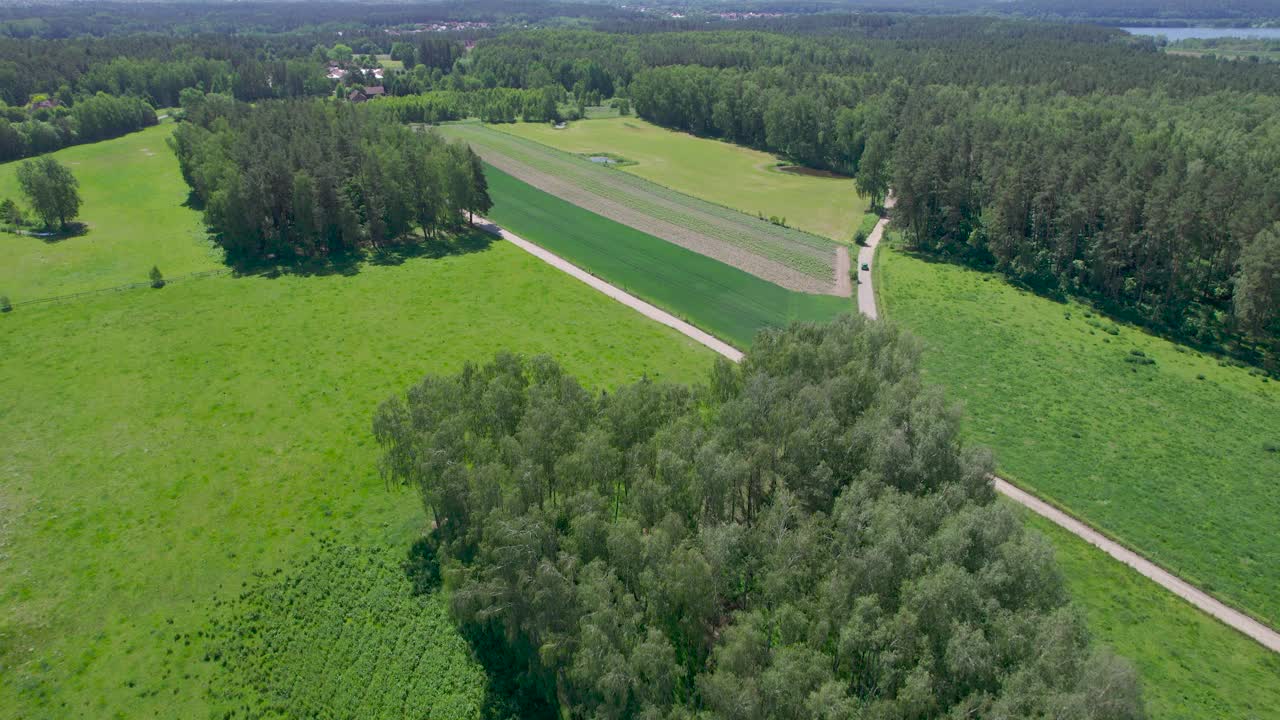 鸟瞰图，飞行在农村景观与生长的玉米田。美丽的夏日鸟瞰波兰农场土地。农村麦田的乡村景观。视频下载
