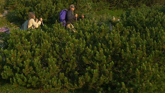 一对年轻夫妇在山里徒步旅行视频素材