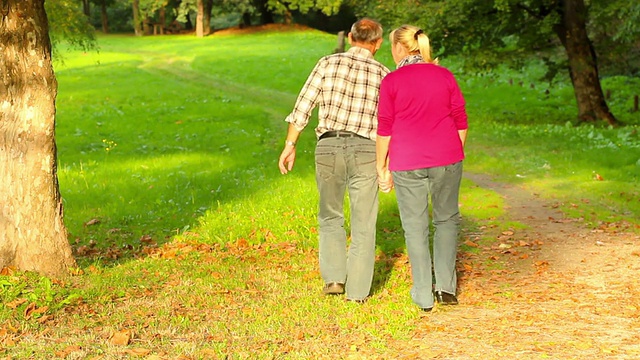 一对老年夫妇在公园散步视频下载