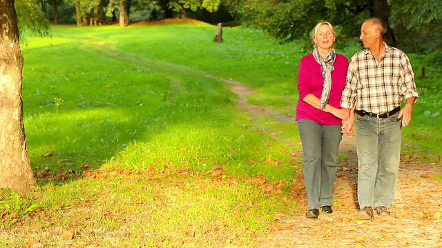 一对老年夫妇在公园散步视频下载