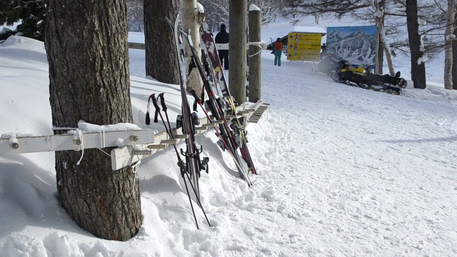 享受斜坡的滑雪者和滑雪板运动员视频素材