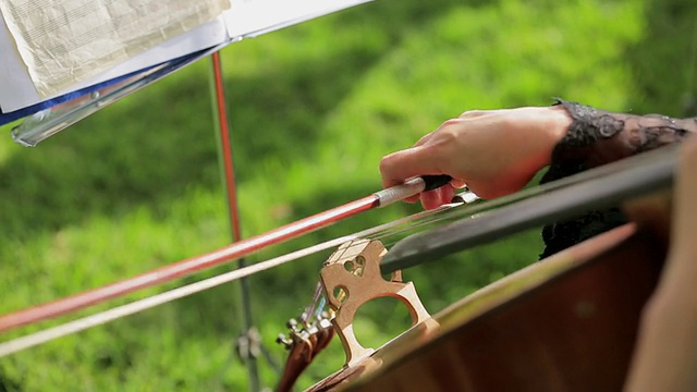 演奏大提琴的音乐家视频下载