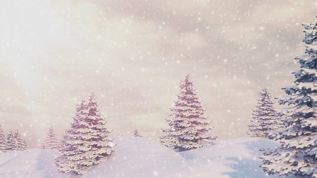 雪地上的树木顶着天空视频素材