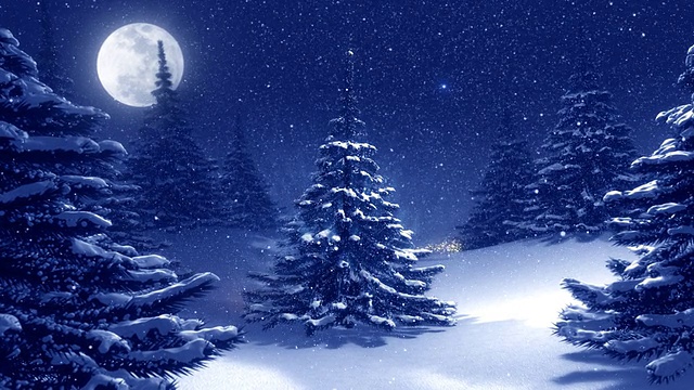 温暖的蓝色冬季景观装饰圣诞树。视频素材