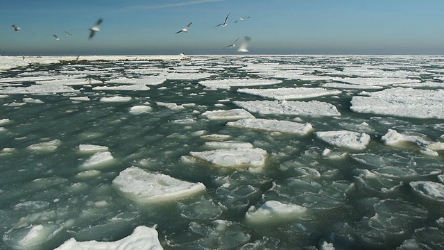融化的冰川在冬季的海上漂流视频下载