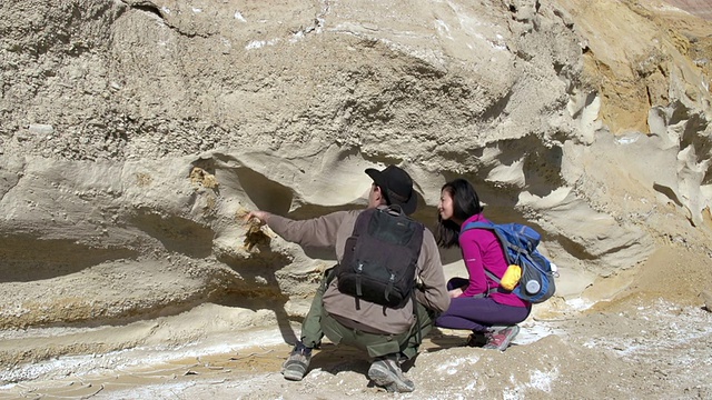 古生物学家探险视频下载