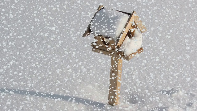 雪花落在鸟箱上视频素材