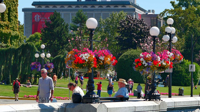 悬挂花篮，维多利亚市中心的游客视频素材