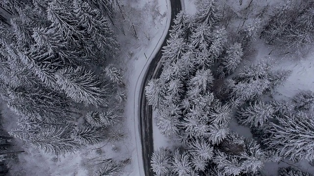空中，垂直:积雪覆盖的树木之间的汽车道路视频素材