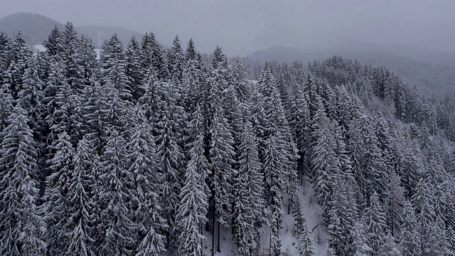 天线:被雪覆盖的景观视频素材