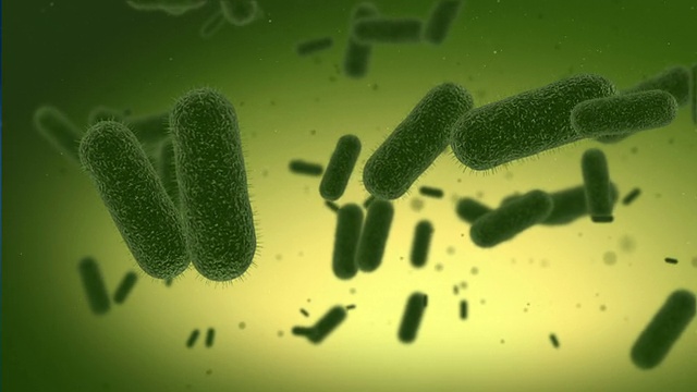 细菌与细菌视频素材
