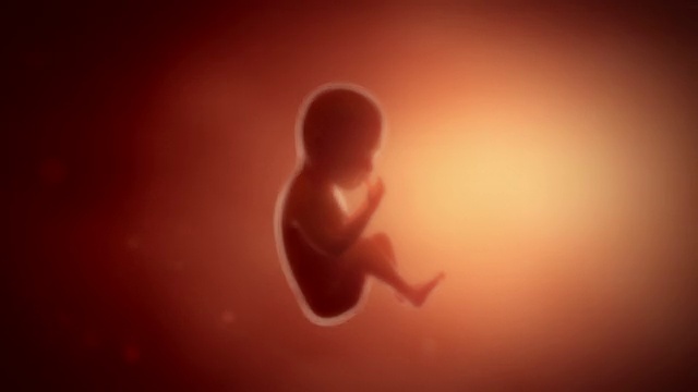 胎儿婴儿移动妊娠概念视频下载