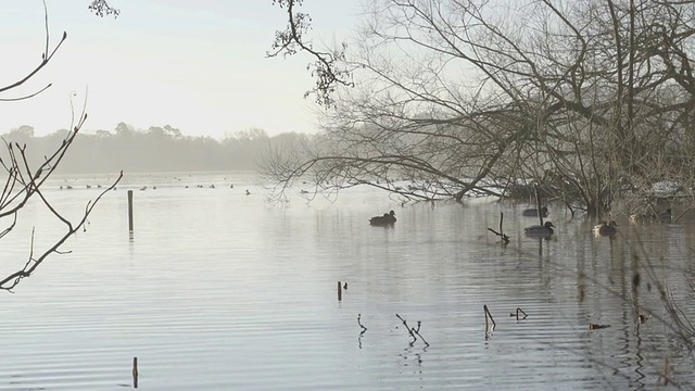 漂亮的冬天的湖视频下载