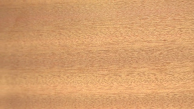 (完美的循环)萨皮尔木材背景特写视频下载