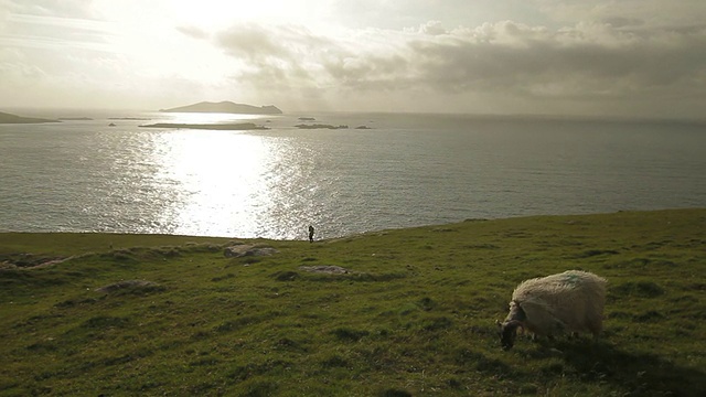 牧羊-凯里环，爱尔兰-仍然射击视频素材