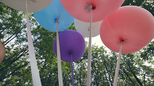森林里五颜六色的大气球视频下载