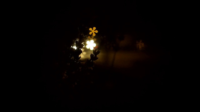 花散景夜视频素材