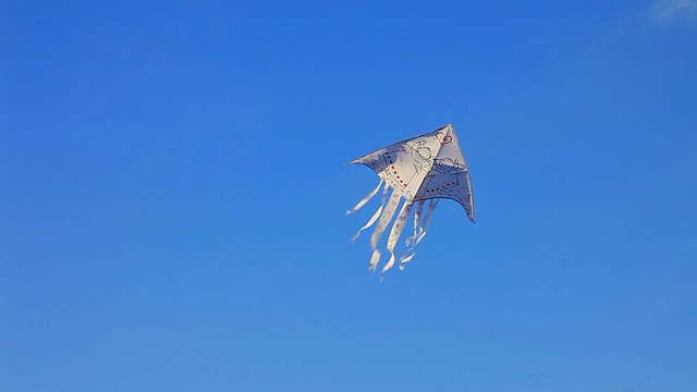 风筝在蓝天上高高飞翔视频下载
