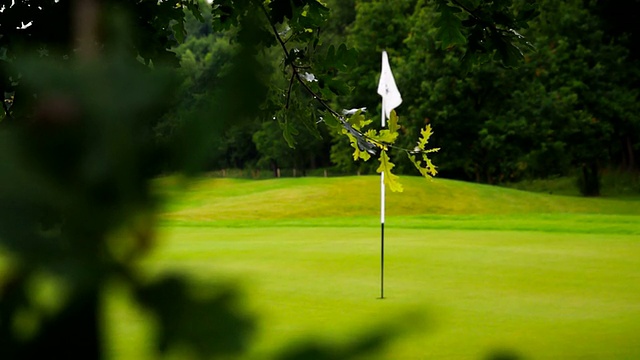 高尔夫球场洞，绿色和旗帜视频素材