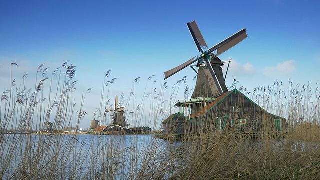 在扎桑·斯甘家转动风车。荷兰视频下载