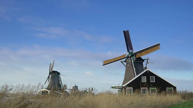 Zaanse Schans历史悠久的风车。荷兰视频下载