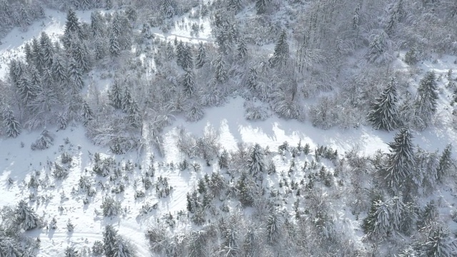 空中-积雪覆盖的景观视频素材