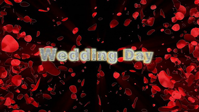 婚礼和玫瑰心爆炸视频素材