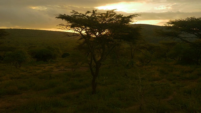航拍:非洲日落视频素材