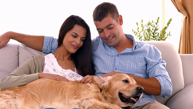 幸福的夫妇和他们的狗在家里视频素材
