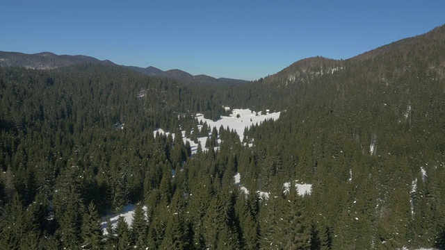 空中飞行-飞越冬季森林与蓝天视频素材