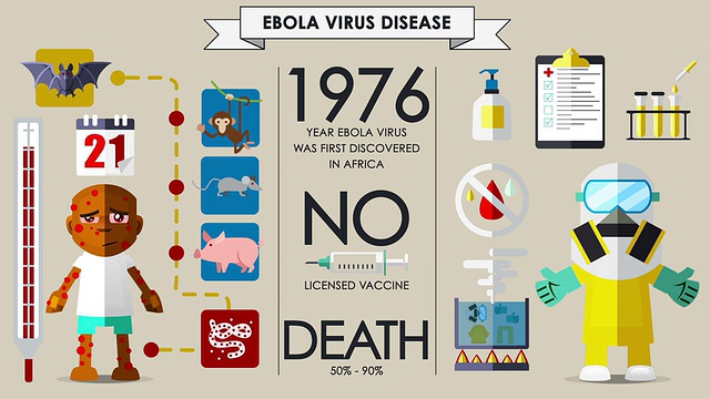 埃博拉病毒信息英语视频下载