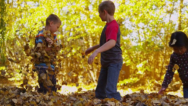 孩子们在秋叶中嬉戏，慢镜头视频素材