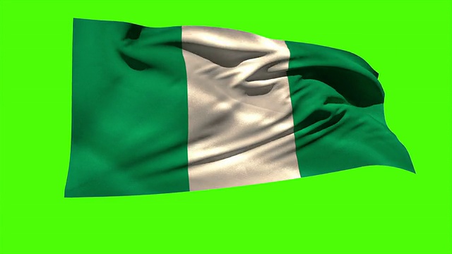 尼日利亚国旗在微风中飘扬视频下载