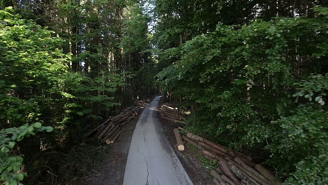 天线:树干躺在森林道路旁边视频素材