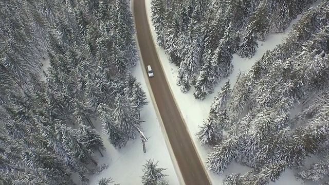 在冬天沿着森林道路行驶的汽车视频素材