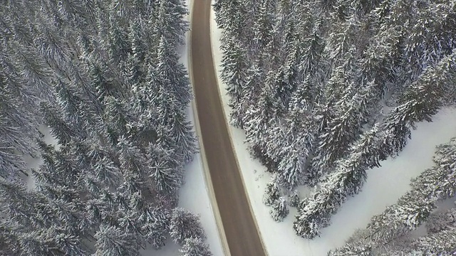 穿越积雪森林的空旷道路视频素材
